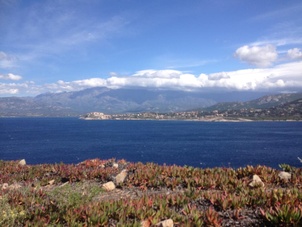 Calvi Appart Hotel Экстерьер фото